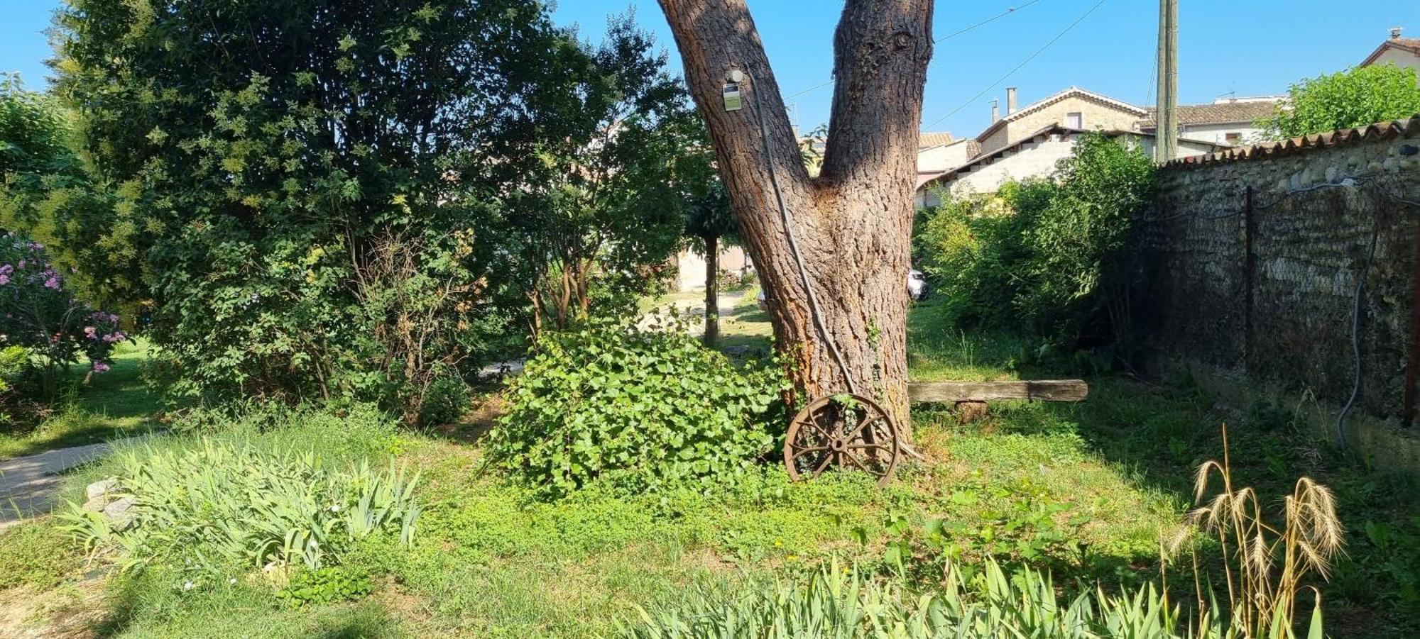 L'Olivier Chez Mame Marthe Βίλα Vallon-Pont-dʼArc Εξωτερικό φωτογραφία